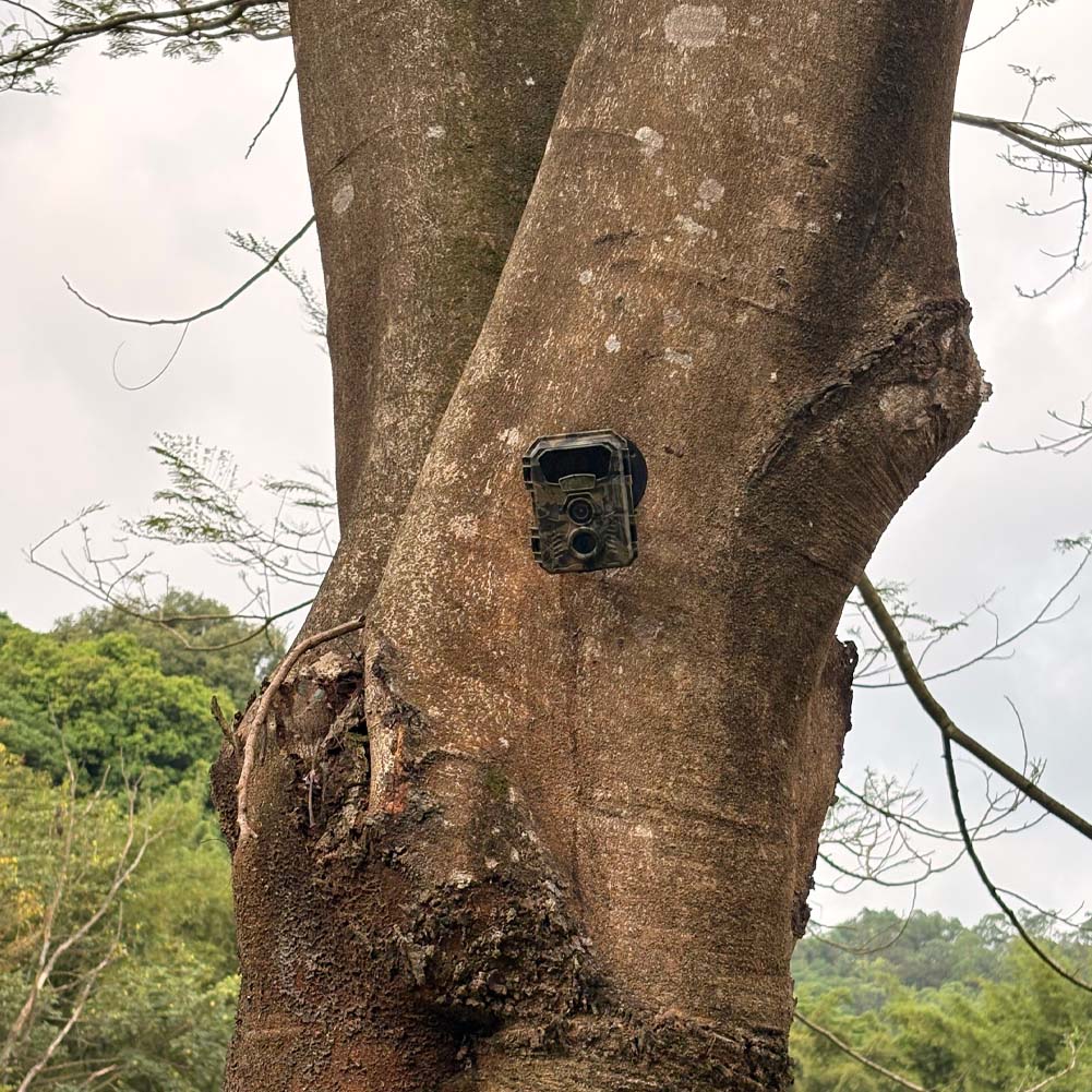 Câmera de Caça 16MP 1080P 48MP - Outdoor Hunting Video Camera avaliação e preço