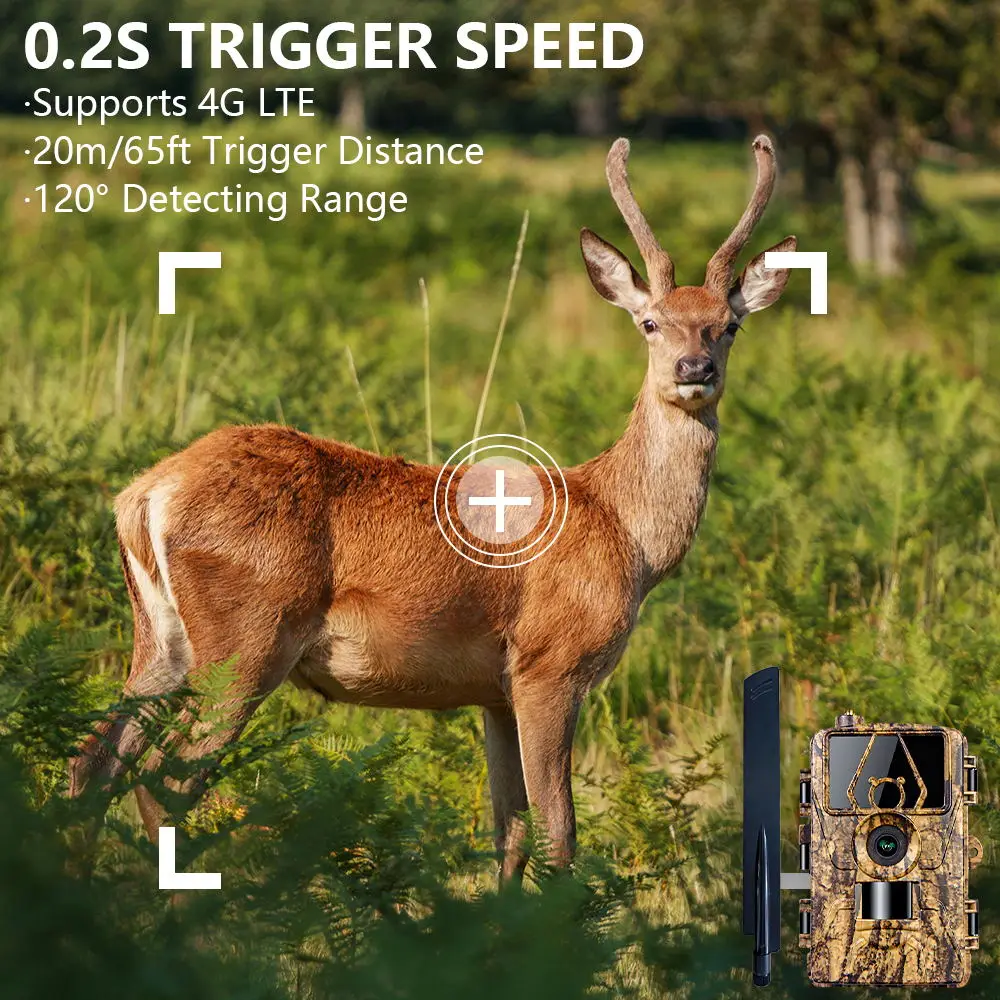 1 pçs hd8k câmera infravermelh - Outdoor Hunting Video Camera avaliação e preço