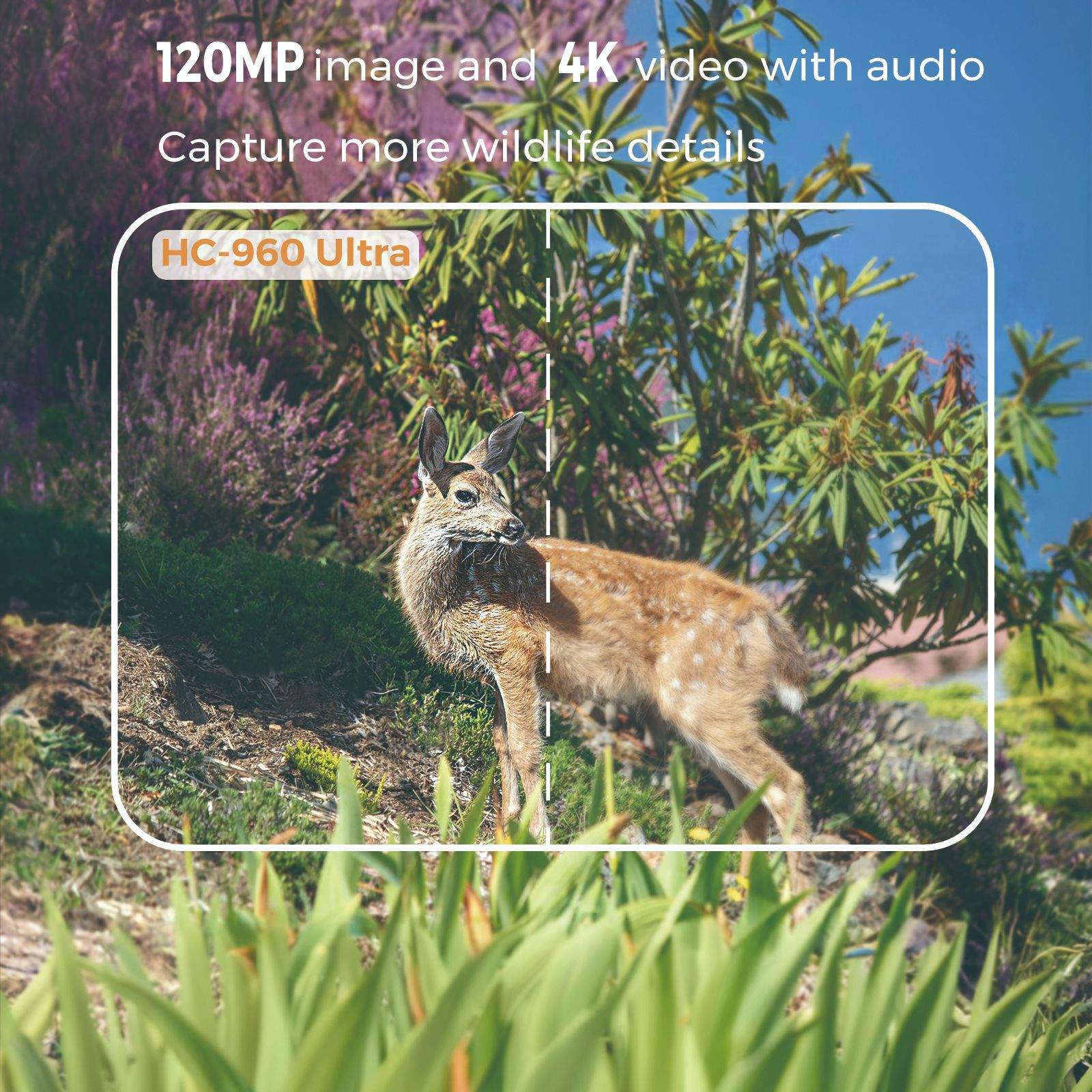 Vídeo 4k ao ar livre 120mp fot - Outdoor Hunting Video Camera avaliação e preço