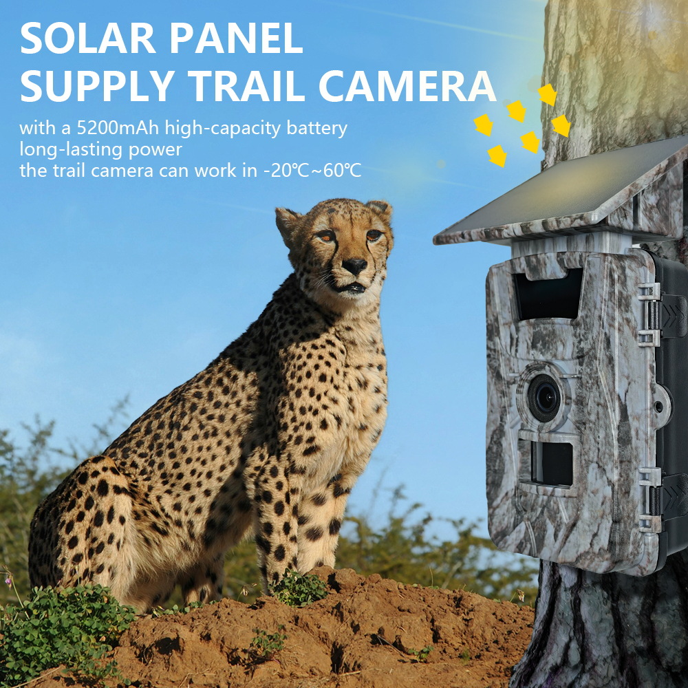 Câmera de caça solar wifi 4k 6 - Outdoor Hunting Photography avaliação e preço