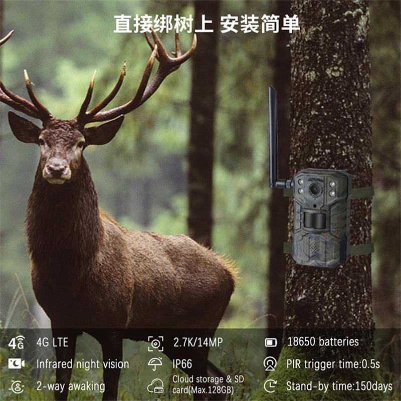 Câmera de Caça Solar 4G LTE co - Outdoor Hunting Video Camera avaliação e preço