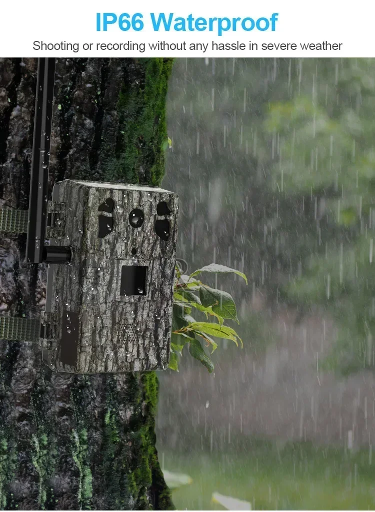 Câmera de caça solar, visão re - Outdoor Hunting Video Camera avaliação e preço