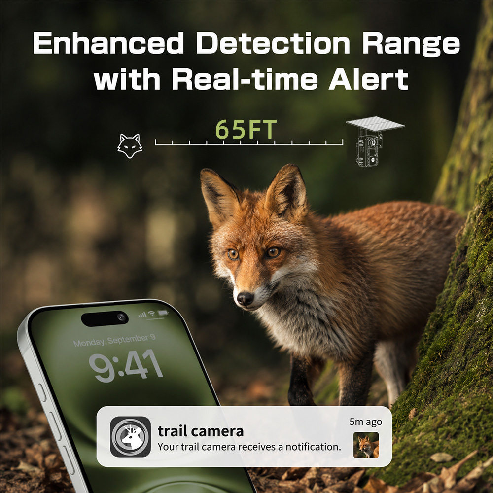 Câmera de Caça e Monitoramento - Outdoor Hunting Video Camera avaliação e preço