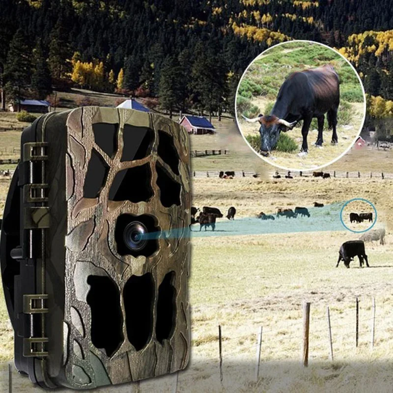H982 IP66 à prova d'água 4K in - Outdoor Hunting Video Camera avaliação e preço