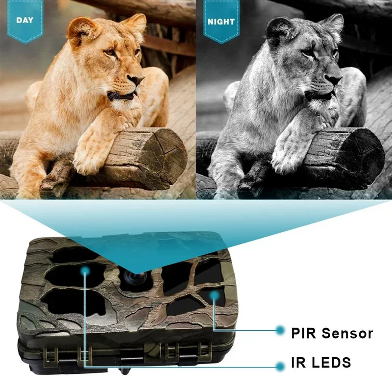 H982 IP66 à prova d'água 4K in - Outdoor Hunting Video Camera avaliação e preço